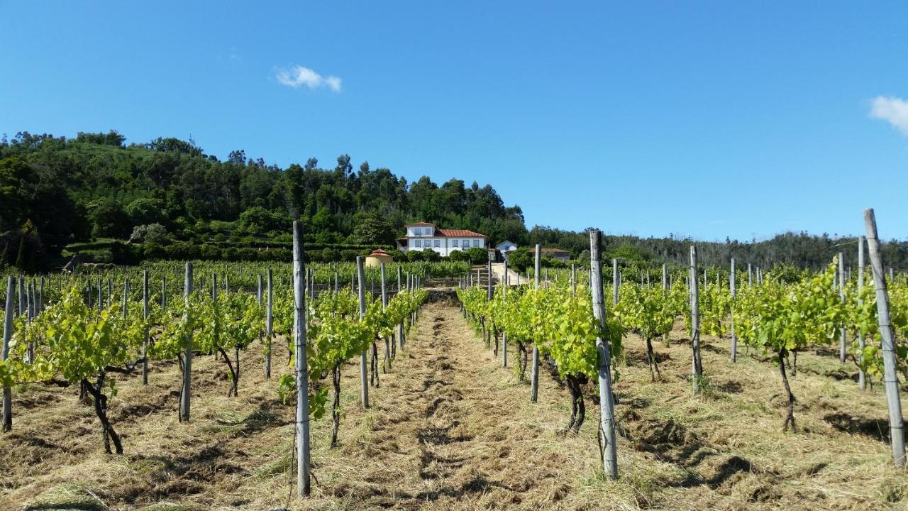 Casas Do Monte De Roques Villa Vila de Punhe Kültér fotó